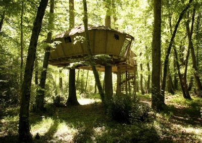 Cabane dans les arbres des Chimpanzés - Parc de la Belle - Hébergement insolite dans la Vienne (86) entre Paris et Bordeaux proche du parc du futuroscope